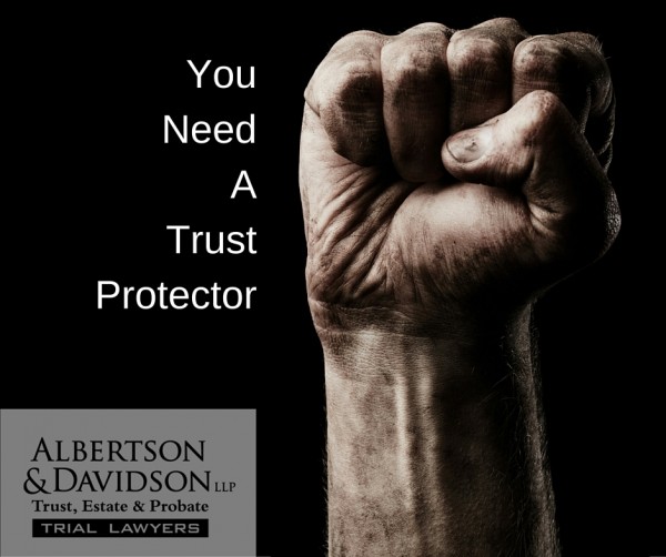 You Need A Trust Protector