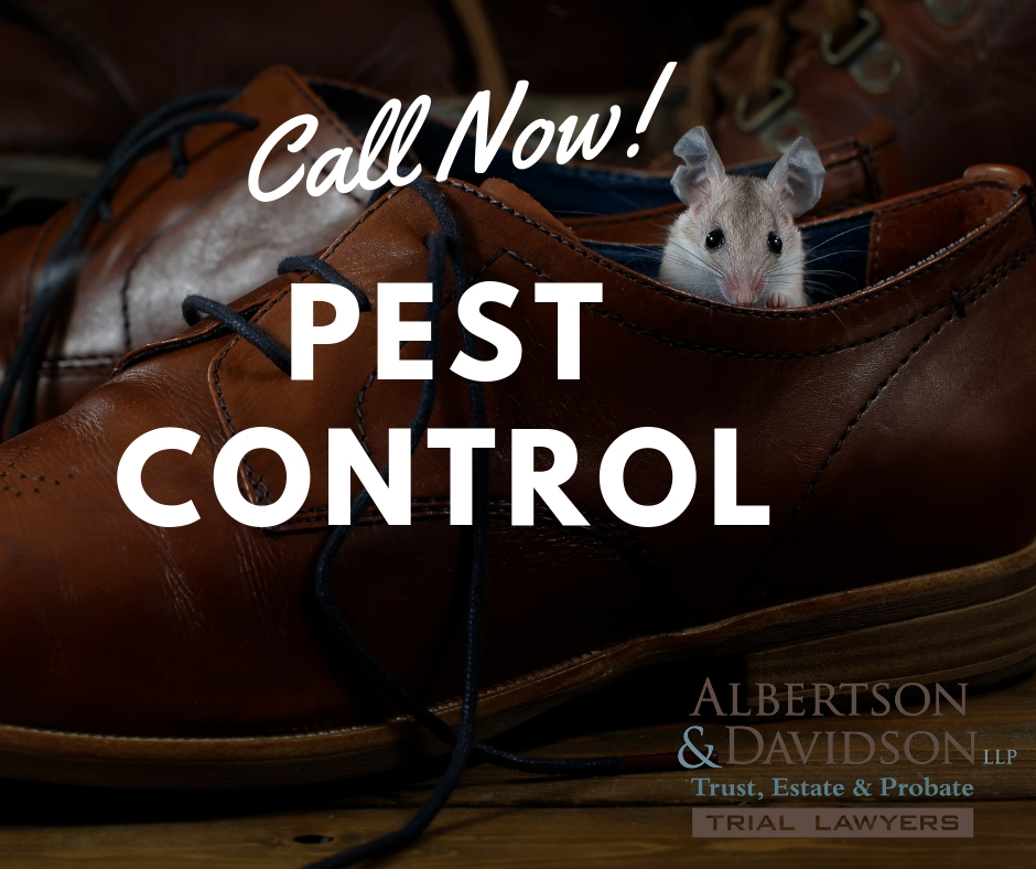 call now pest control