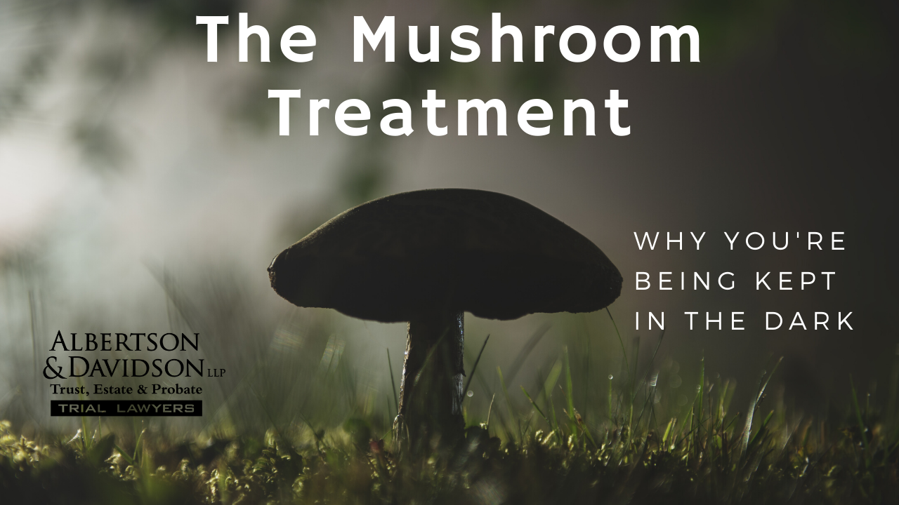 the mushroom treatment